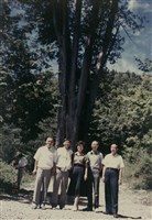 文友耕心等人合照藏品圖，第1張