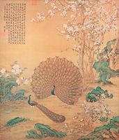 清 郎世寧 孔雀開屏(複製品)藏品圖，第1張