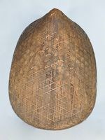 尖頂龜甲披藏品圖，第1張