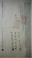 光緒20年潘沙埔區藍為丈五水田、牛眠山水田貳叚立典田契字藏品圖，第1張