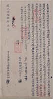 道光25年沙望阿加為九股田壹處立出典耕收磧地銀字藏品圖，第1張