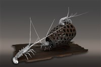 豐收藏品圖，第1張