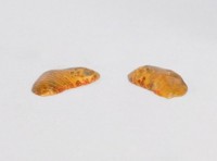 迷你擲杯藏品圖，第1張