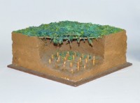 陷阱藏品圖，第3張