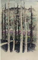 惠蓀林場寫生藏品圖，第1張
