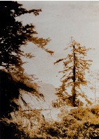 南投風光照片－日月潭之景藏品圖，第1張