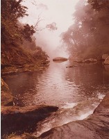 南投風光照片－碧水小溪（杉林溪）藏品圖，第1張
