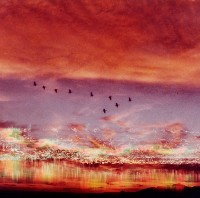 橫越了湖泊與大地藏品圖，第1張