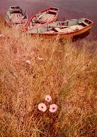南投風光照片－三位一體(日月潭)藏品圖，第1張
