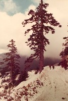 南投風光照片－合歡山之行藏品圖，第1張