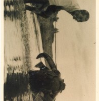 清涼一季夏藏品圖，第1張