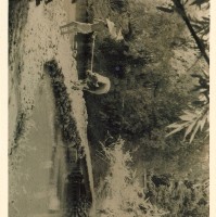 怕怕藏品圖，第1張