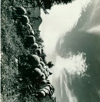 南投風光照片－綿羊（清境農場）藏品圖，第1張