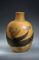 天堂鳥藏品圖，第1張