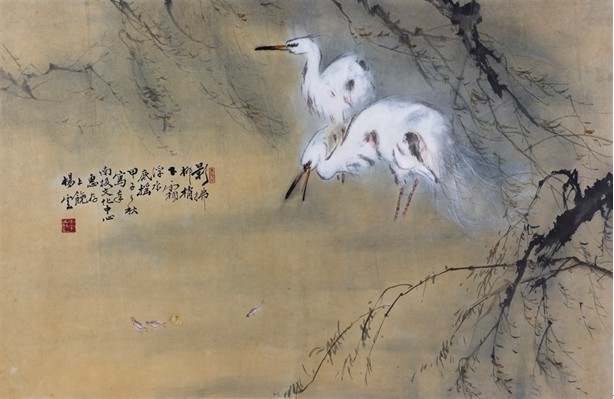 雙路鳥(雙鷺)的圖片