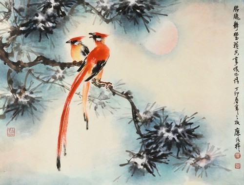 松鳥的圖片