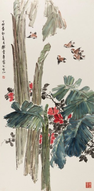 花鳥的圖片