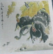 見獵的圖片
