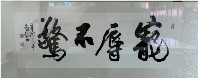 寵辱不驚的圖片