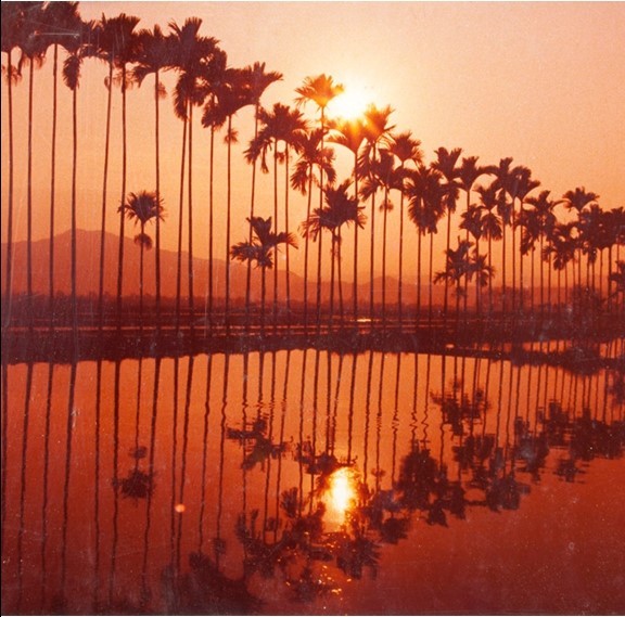 南投風光照片－夕暮（草屯）的圖片