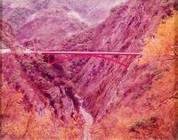 雲龍大橋(仁愛鄉)的圖片