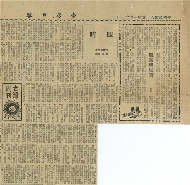 眼睛的圖片