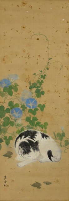 花下貓的圖片