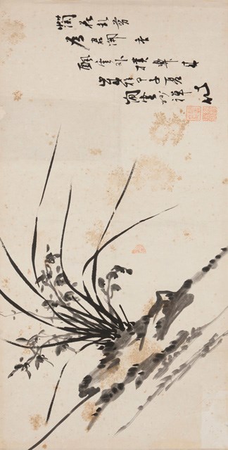 蘭石橫楨的圖片