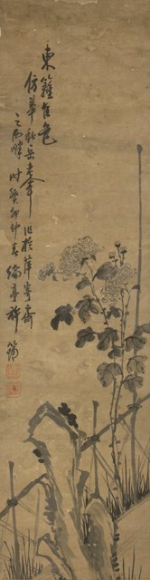 墨菊的圖片