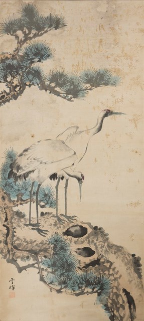 松鶴的圖片