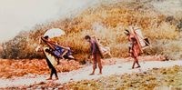 昭和年間新高地布農族男性以背椅搭載旅客及貨運照的圖片