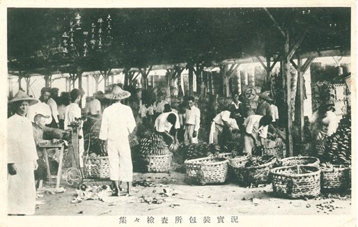 日治時期集集檢查所香蕉包裝之明信片的圖片