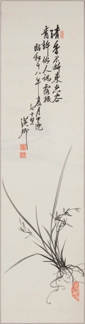 墨蘭的圖片