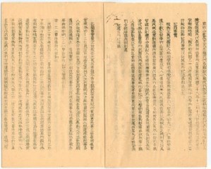 民國36年二二八事件刑事辯訴書的圖片