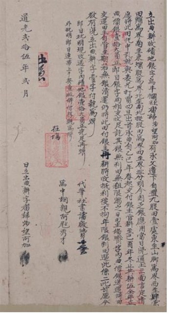 道光25年沙望阿加為九股田壹處立出典耕收磧地銀字的圖片
