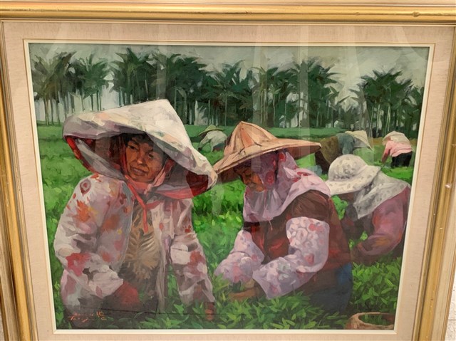 採茶姑娘的圖片