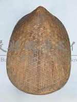 尖頂龜甲披藏品圖，第1張