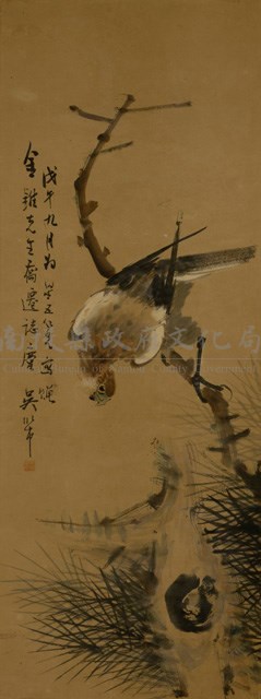松鷹藏品圖，第1張