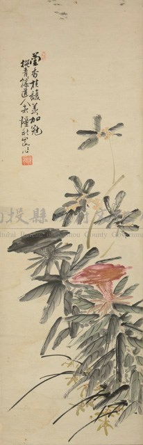 花卉藏品圖，第1張