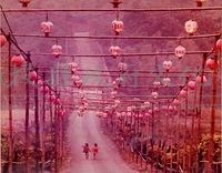 鄉土之情藏品圖，第1張