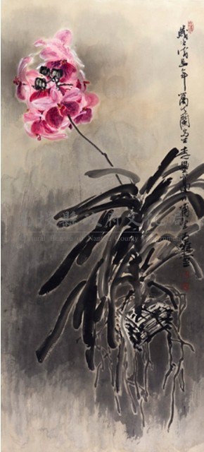 萬代蘭藏品圖，第1張