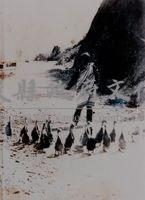昭和18年《沙韻之鐘》李香蘭劇照藏品圖，第1張