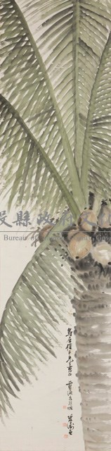 椰樹藏品圖，第1張