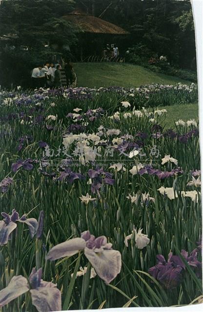 余阿勳寄(內文)藏品圖，第1張