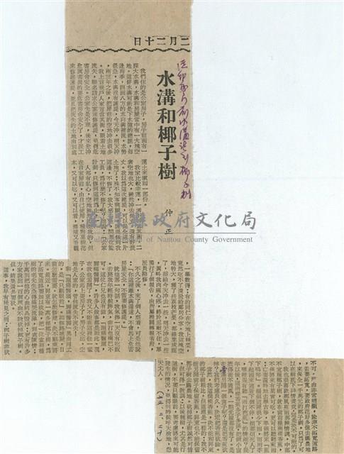 水溝和椰子樹藏品圖，第1張