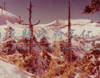 南投風光照片－玉山殘雪藏品圖，第1張