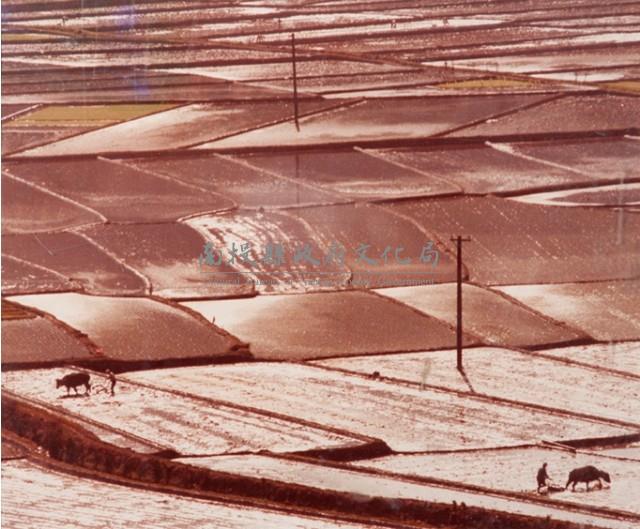 南投風光照片－春耕藏品圖，第1張