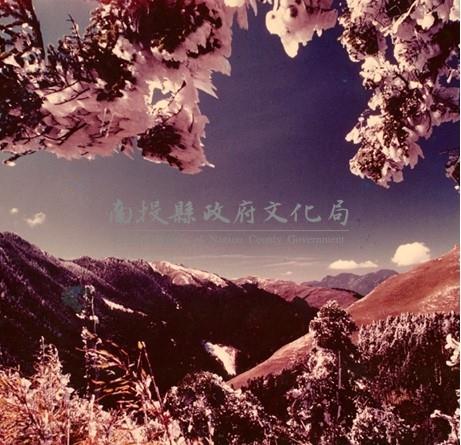 南投風光照片－松雪合歡藏品圖，第1張