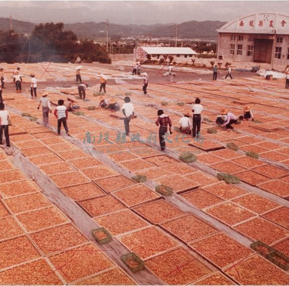 南投風光照片－農會前廣場藏品圖，第1張