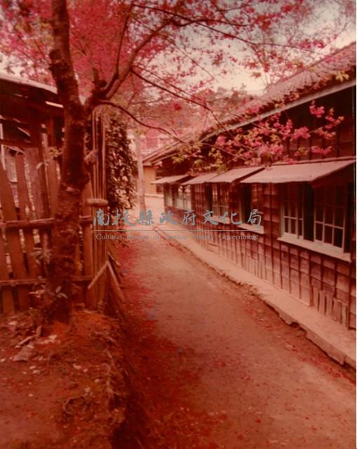 南投風光照片－漁池暮色藏品圖，第1張